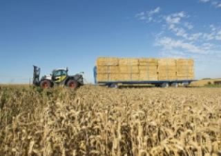 Teleskopski utovarivači Claas Scorpion 7030