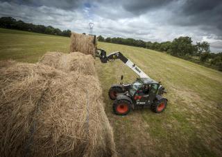 Teleskopski utovarivači Bobcat TL38.70HF AGRI 130 IV