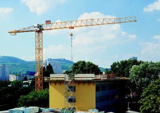 Toranjski kranovi - Grana kolica - Okretna na vrhu Liebherr 50 EC-B 5