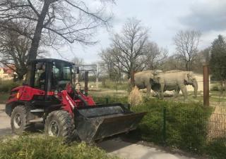 Utovarivači na kotačima Yanmar V80