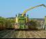 2WD krmni kombajni Krone BiG X 480