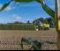2WD krmni kombajni Claas Jaguar 870