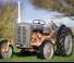 Massey Ferguson FE-35
