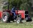 Massey Ferguson MF 290 Xtra