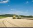4WD krmni kombajni Krone BIG X 480
