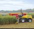 4WD krmni kombajni New Holland FR 850