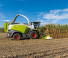 4WD krmni kombajni Claas Jaguar 880