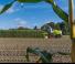 4WD krmni kombajni Claas Jaguar 880