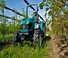 4WD traktori Arbos 3050