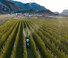Traktori na gusjenicama DEUTZ-FAHR 5100 DF GS