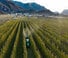 4WD traktori DEUTZ-FAHR 5105 DS GS 