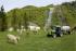 4WD traktori DEUTZ-FAHR Agroplus F 320 GS DT