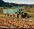4WD traktori DEUTZ-FAHR Agrotron L 710