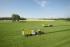 4WD traktori Claas Arion 430