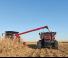 Case IH ASF Connect Magnum 250