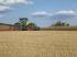 4WD traktori Claas Axion 920