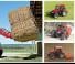 Case IH Farmall 105 A