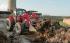 Case IH Farmall 115 U EP Komfort