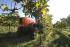 4WD traktori SAME Frutteto³ S 90.3 DT
