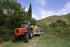 4WD traktori SAME Frutteto³ S 90.3 DT