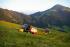 4WD traktori Lindner Geotrac 84