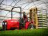 Massey Ferguson MF 1529 MA