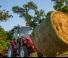 4WD traktori Massey Ferguson MF 1765 M MC 