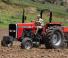 Massey Ferguson MF 275 Xtra