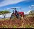 4WD traktori Massey Ferguson MF 35