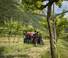 4WD traktori Massey Ferguson MF 3GE.85 