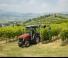 4WD traktori Massey Ferguson MF 3VI.75  