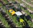 4WD traktori Claas Nexos 230 VE
