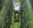 4WD traktori Claas Nexos 230 VL