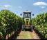 4WD traktori Claas Nexos 250 VL