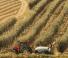 4WD traktori Case IH Quantum 90 CL Rops