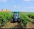 4WD traktori Landini Rex DT 4-090F