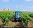 4WD traktori Landini Rex DT 4-090V