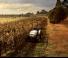 4WD traktori Lamborghini RV 80 GS DT
