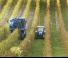 4WD traktori New Holland T 4.105 LP