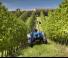 4WD traktori New Holland T 4.95 LP