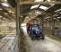 4WD traktori New Holland T5.75
