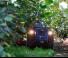 4WD traktori BCS Vithar 85 RS 