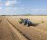 Balirke za četvrtaste bale New Holland BB 1290 S