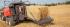 Balirke za četvrtaste bale Massey Ferguson MF 2270XDTC