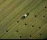 Balirke za okrugle bale Claas Cerex 760 RC