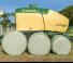 Balirke za okrugle bale Krone Comprima CV 150 XC Plus 