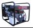 Europower EP 10000 TE (S)