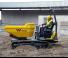 Damperi na gusjenicama Wacker Neuson DT23