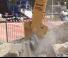 Prilozi Drobilice za beton Allied-Gator MTR 15 C