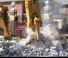 Prilozi Drobilice za beton Allied-Gator MTR 20 C